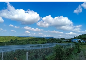 蘋果基地
