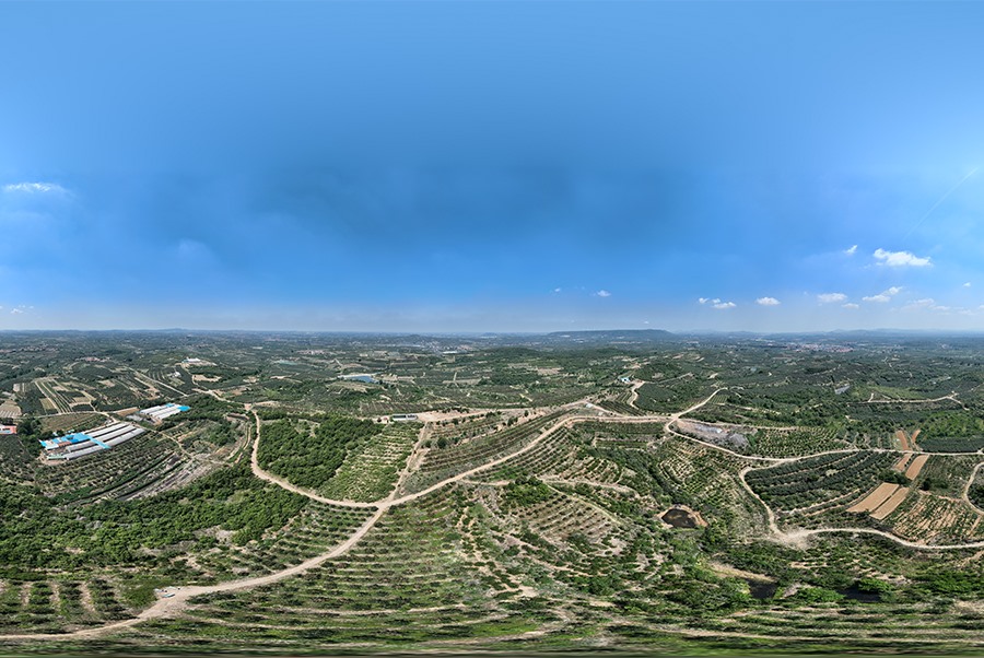 蘋果基地