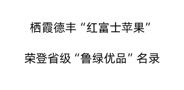 產(chǎn)業(yè)鏈上的山東好品牌｜棲霞德豐“紅富士蘋果”榮登省級“魯綠優(yōu)品”名錄