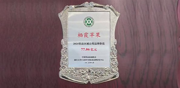 77.06億元！“棲霞蘋果”品牌價值穩(wěn)居全國榜首！